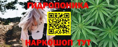 Альфа ПВП Ливны