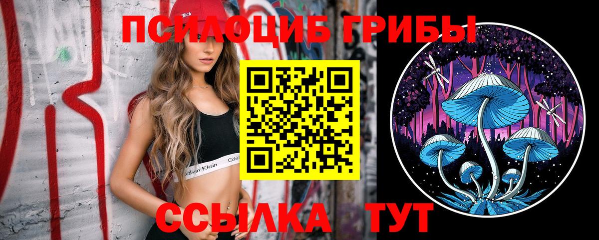 Галлюциногенные грибы Psilocybine cubensis Карабулак